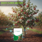 🌱 Controlled-Release Fruit Tree Fertilizer | Year-End Mega Upgrade Launch | 3-Month Slow-Release Nutrition, Balanced NPK Formula | Promotes Blossoming & Fruit Yield