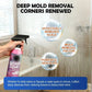 🥳SUMMERFRESH HOT SALE🥳💞15K+ SOLD! Bathroom Cleaner – From £4.99! Dissolves limescale & mold, inhibits regrowth. Sparkling bathroom – grab yours! ✅