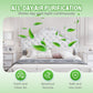 Long-Lasting Formaldehyde Odor Remover