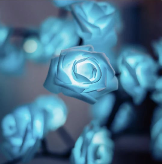 📢📢49% OFF!!⏰🌹Rose Flower Design Tree Night Light🌟