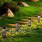 🎉BUY MORE SAVE MORE🎁Outdoor Solar Ground Stake Light for Garden