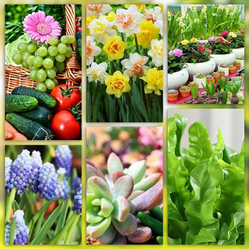 🌱 Long-lasting plant food sticks – balanced NPK for roots, leaves & blooms!  🌿✨