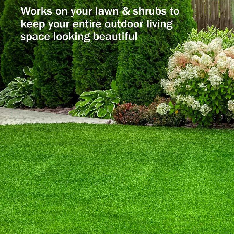 🔥Last Day Sale 50%🔥Pousbo® Green Grass Paint Spray🌿✅