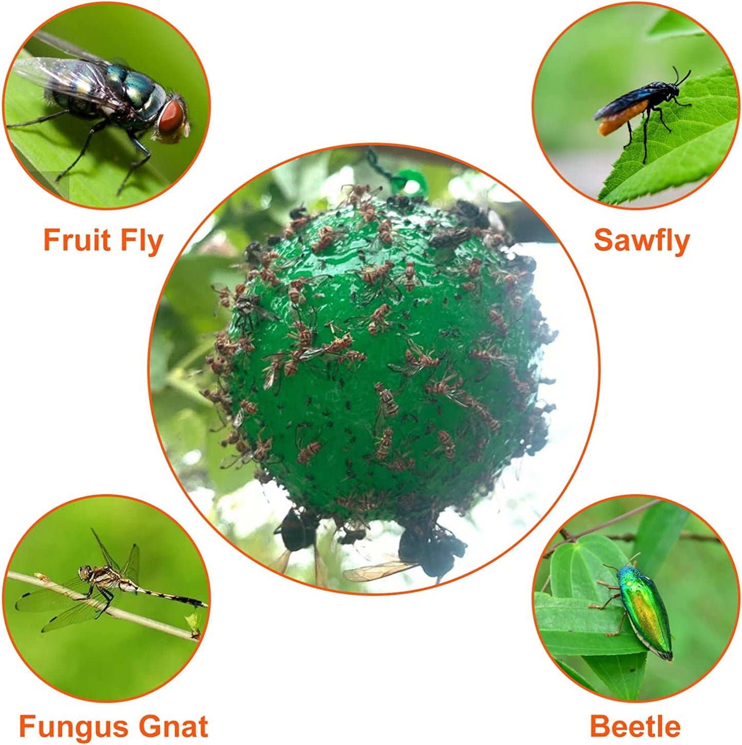 🔥Last Day Promotion - 50% OFF🔥Hanging Environmental Fruit Fly Traps Sticky Traps-BUY 1 GET 1 FREE