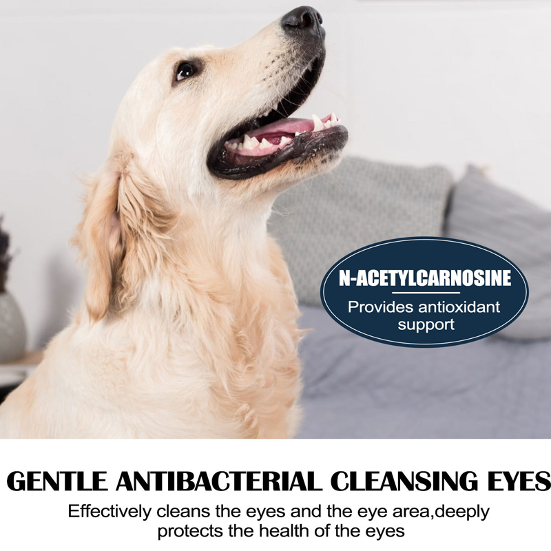 🔥New Hot Selling❤️‍🔥Gentle Pet Eye Drops for Dogs & Cats