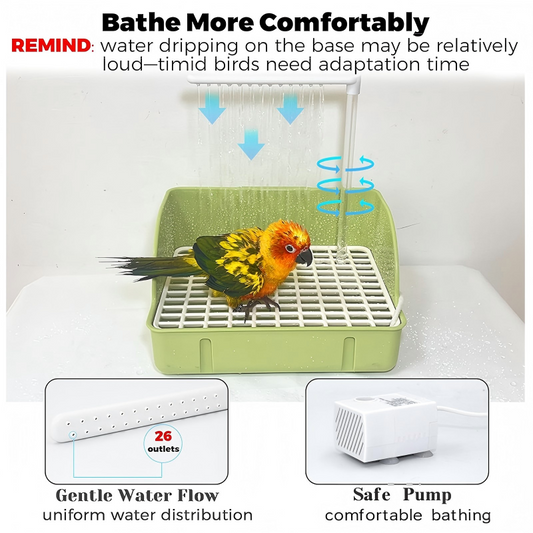 🐦 USB automatic recirculating bird bath, dual-row shower design, splash-proof and easy to clean 🚿💧