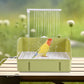 🐦 USB automatic recirculating bird bath, dual-row shower design, splash-proof and easy to clean 🚿💧
