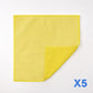 Dual-Sided Microfiber & Mesh Cleaning Cloth