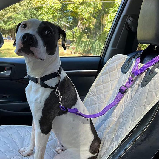 🔥New Hot Selling❤️‍🔥 2-in-1 Dog Car Seat Belt & Walking Leash