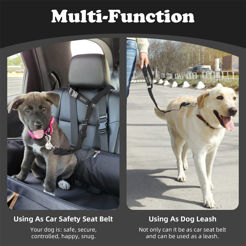 🔥New Hot Selling❤️‍🔥 2-in-1 Dog Car Seat Belt & Walking Leash