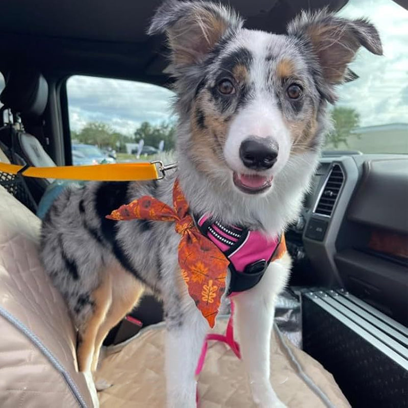 🔥New Hot Selling❤️‍🔥 2-in-1 Dog Car Seat Belt & Walking Leash
