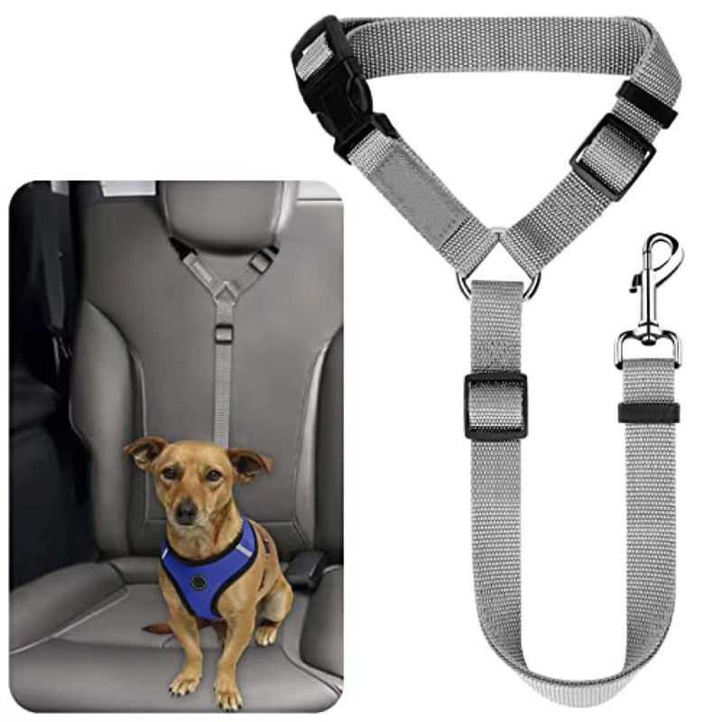 🔥New Hot Selling❤️‍🔥 2-in-1 Dog Car Seat Belt & Walking Leash