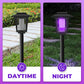 🦟 50% OFF! Solar bug zapper – dual light (purple + white), auto day/night, 3 styles. 50K+ sold! ☀️🔋