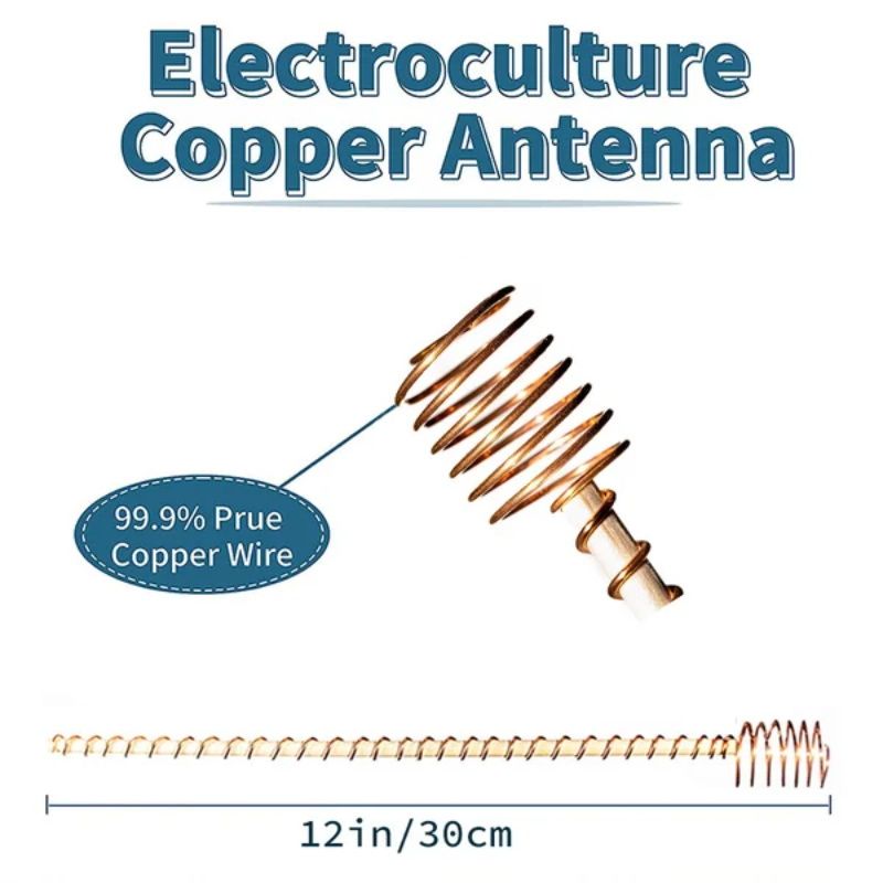 🌿 50% OFF! 50K+ sold! Electroculture antenna – increase yields by 70%, reduce pesticides, no fertilizer needed! ⚡🍀