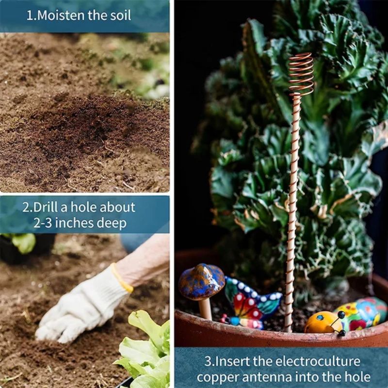 🌿 50% OFF! 50K+ sold! Electroculture antenna – increase yields by 70%, reduce pesticides, no fertilizer needed! ⚡🍀