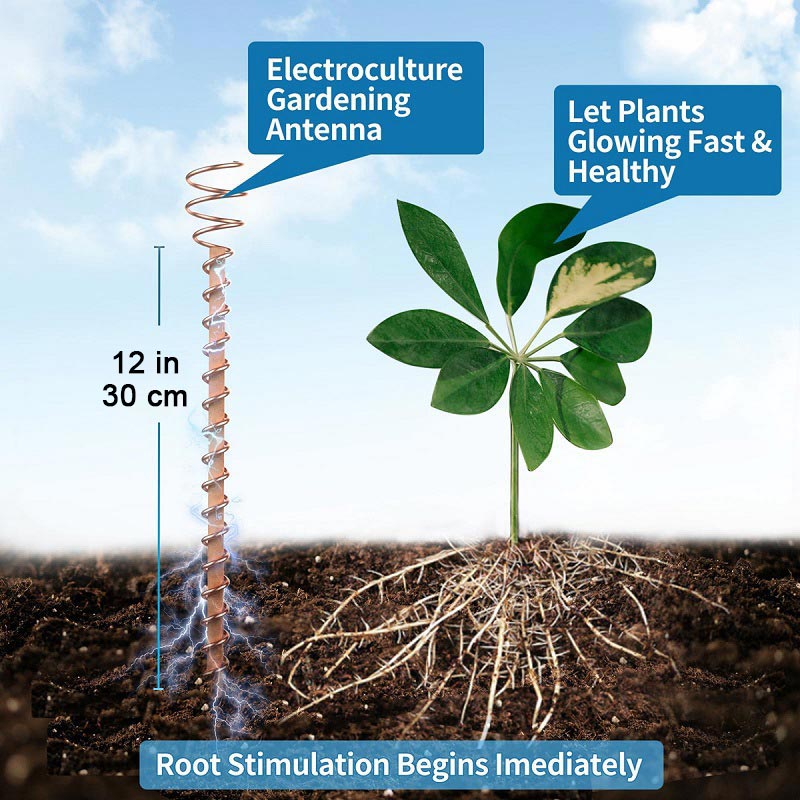 🌿 50% OFF! 50K+ sold! Electroculture antenna – increase yields by 70%, reduce pesticides, no fertilizer needed! ⚡🍀