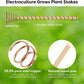 🌿 50% OFF! 50K+ sold! Electroculture antenna – increase yields by 70%, reduce pesticides, no fertilizer needed! ⚡🍀