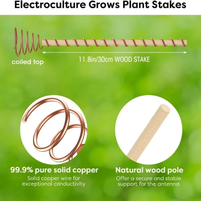 🌿 50% OFF! 50K+ sold! Electroculture antenna – increase yields by 70%, reduce pesticides, no fertilizer needed! ⚡🍀