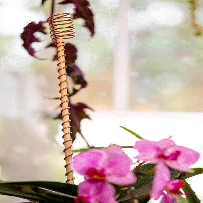🌿 50% OFF! 50K+ sold! Electroculture antenna – increase yields by 70%, reduce pesticides, no fertilizer needed! ⚡🍀