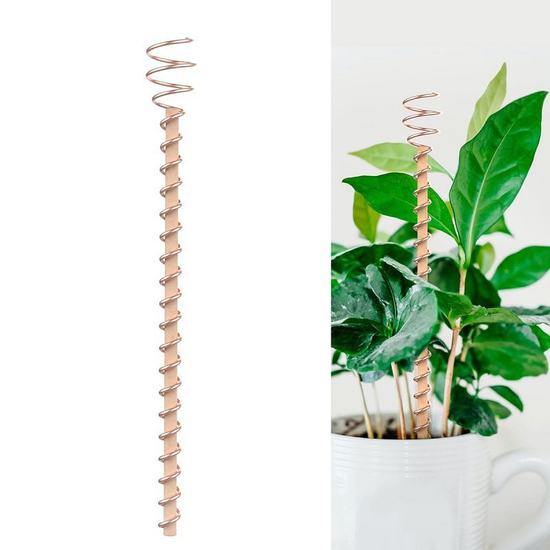 🌿 50% OFF! 50K+ sold! Electroculture antenna – increase yields by 70%, reduce pesticides, no fertilizer needed! ⚡🍀
