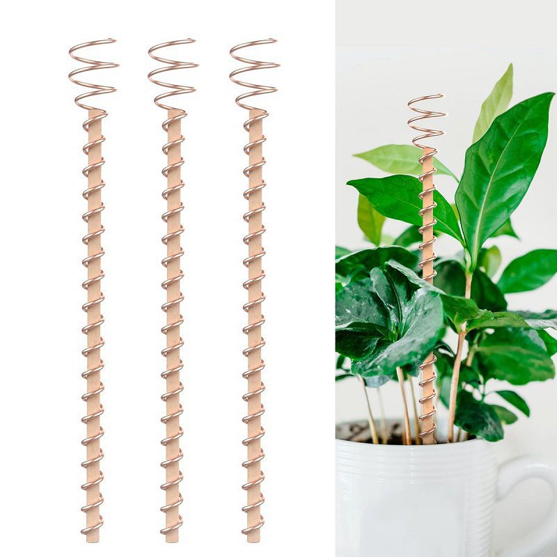 🌿 50% OFF! 50K+ sold! Electroculture antenna – increase yields by 70%, reduce pesticides, no fertilizer needed! ⚡🍀