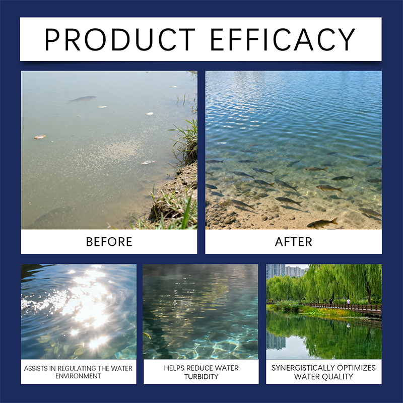 ⏳Limited-time 50% off⏰Aqua-Guardian Pro Formula Water Clarifier🐟🦐