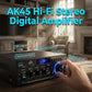 ⏰🔥LIMITED TIME 50% OFF!🔥Digital Amplifier for Karaoke and Music