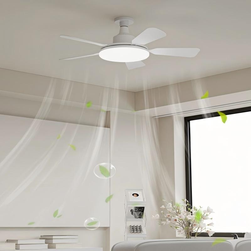 Socket Fan Light With Remote