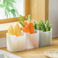 🔥Buy 1 get 1 free🔥 Multifunctional Refrigerator Storage Box