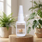 🪵 Wood glue – strong bond, precision tip, dries clear, rapid curing. Fixes chairs, tables & frames. 50% OFF! 🔨✨