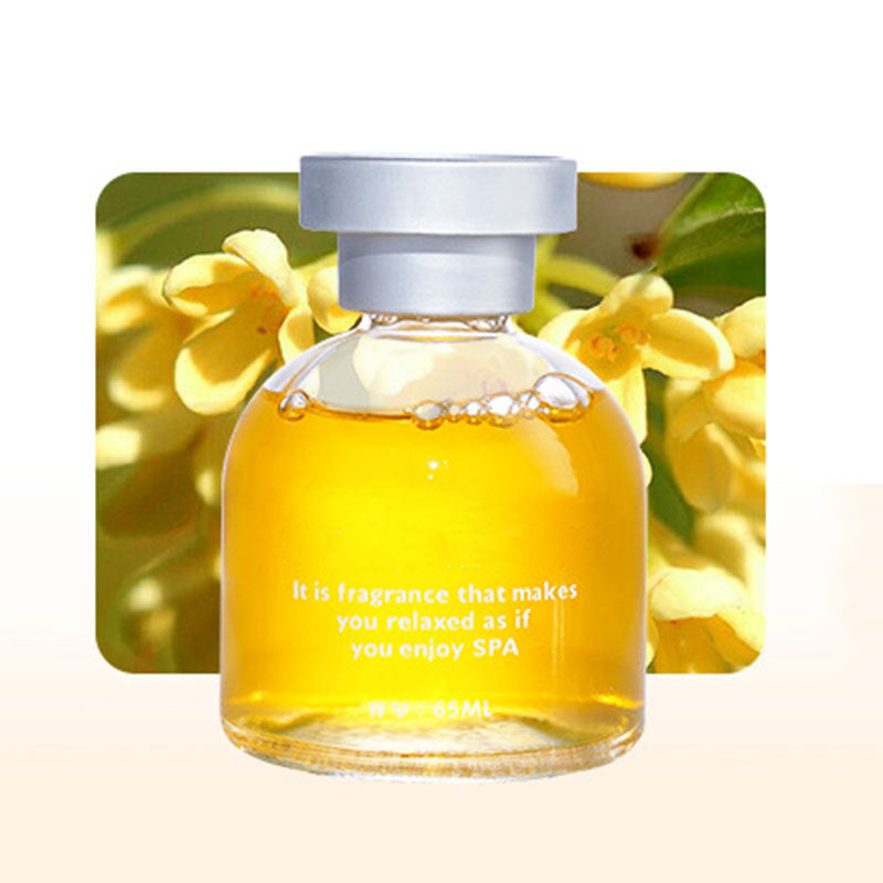 ⏰Limited-time 60% OFF!🎉Long Lasting Car Perfume, Mild Natural Fragrance Auto Air Freshener, Effective Odor Eliminator