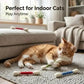 😺BORED CAT? FIX IT FAST!😺 Interactive Swab Toy – Premium Catnip, Durable Felt, Dental Care – Kicks, Chases & Pounces! 🐾