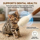 😺BORED CAT? FIX IT FAST!😺 Interactive Swab Toy – Premium Catnip, Durable Felt, Dental Care – Kicks, Chases & Pounces! 🐾