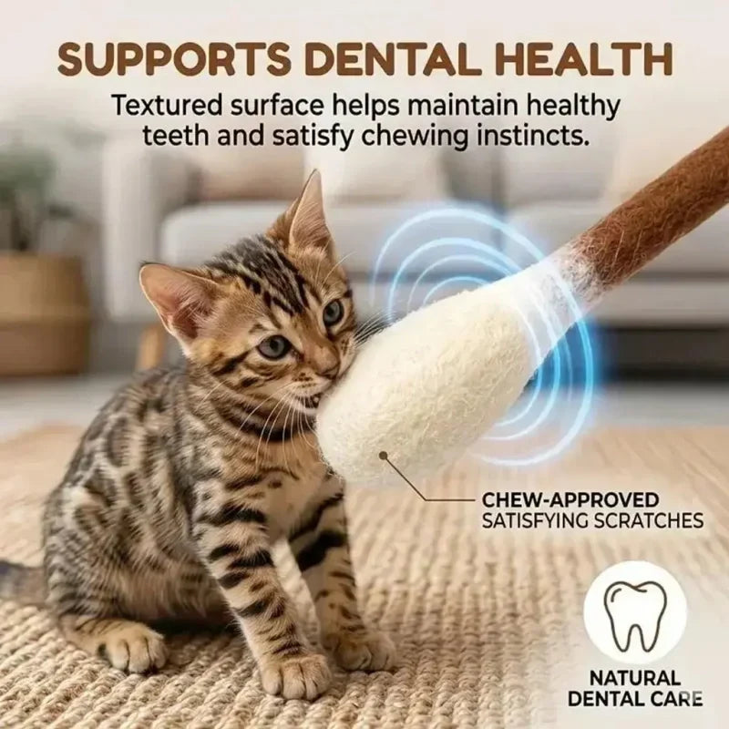 😺BORED CAT? FIX IT FAST!😺 Interactive Swab Toy – Premium Catnip, Durable Felt, Dental Care – Kicks, Chases & Pounces! 🐾