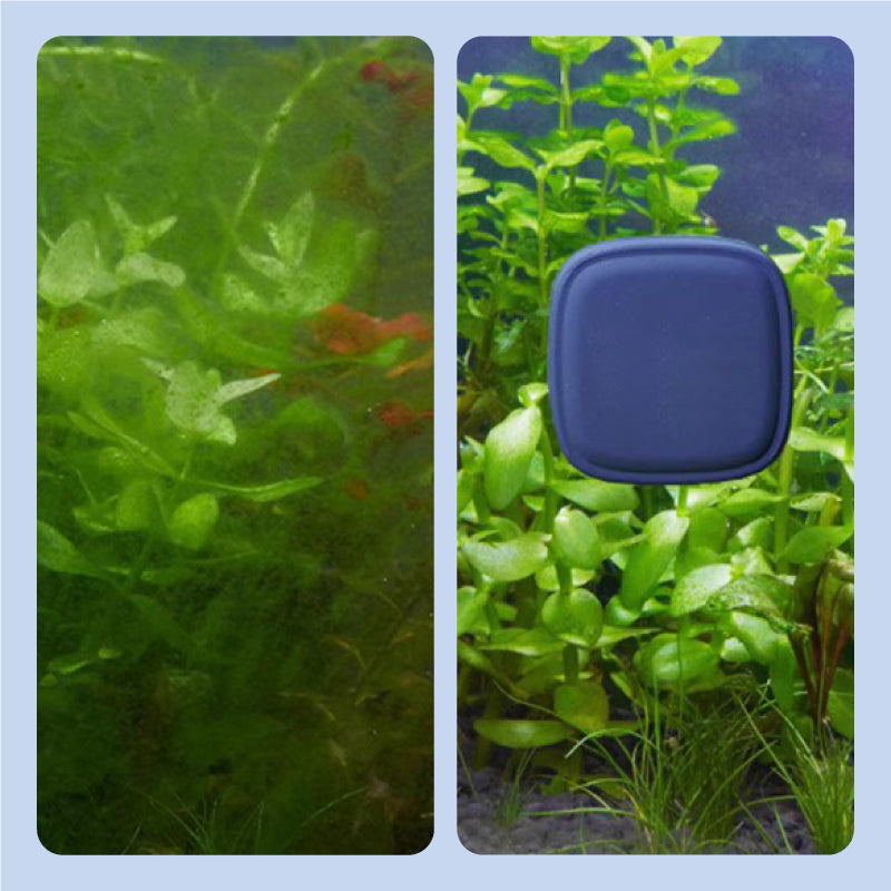 Magnetic Mini Cleaning Brush for Fish Tank