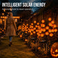 🥳HOT SALE🥳💞10K+ SOLD! Pumpkin Solar Lights – From £11.99! 76cm tall, solar powered & weatherproof. Spooky glow – grab yours! ✅
