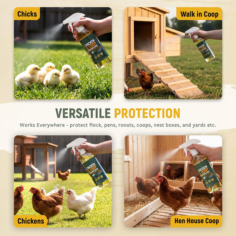 💞 Over 50,000 Sold! ⚡🐔 Natural cleaning spray for chicken coops – neutralizes odors & reduces germs