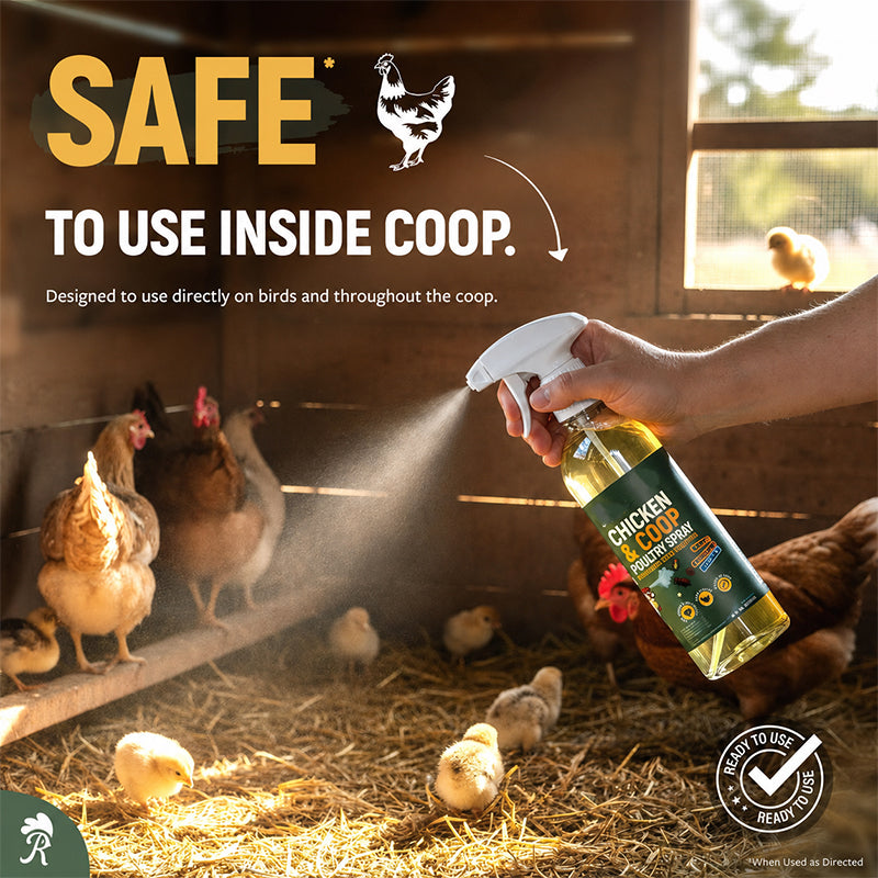 💞 Over 50,000 Sold! ⚡🐔 Natural cleaning spray for chicken coops – neutralizes odors & reduces germs