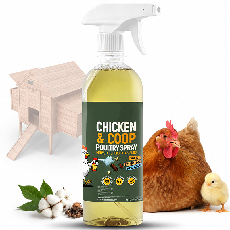 💞 Over 50,000 Sold! ⚡🐔 Natural cleaning spray for chicken coops – neutralizes odors & reduces germs