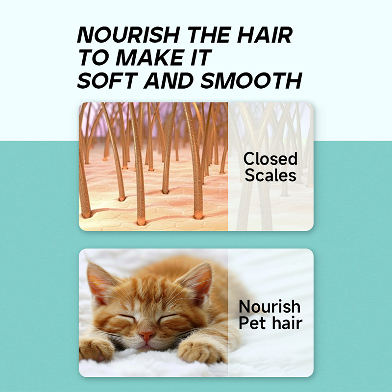 🔥FLASH SALE🔥 Pet Detangling Spray – Instantly Loosens Knots & Mats, Deep Moisturization – Anti-Static, Safe for Dogs & Cats! 🐕✨