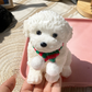 🥳HOT SALE🥳💞100K+ SOLD! Squishy Toy – From £6.99! Soft TPR, portable & adorable dog design. Stress relief anywhere – grab yours! ✅