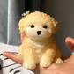 🥳HOT SALE🥳💞100K+ SOLD! Squishy Toy – From £6.99! Soft TPR, portable & adorable dog design. Stress relief anywhere – grab yours! ✅