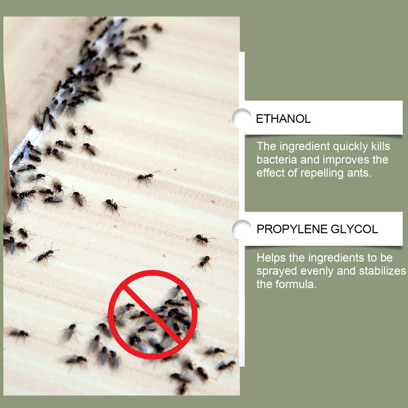 🥳2026 HOT SALE🥳💞50K+ SOLD! Termite Spray – From £7.98! Disrupts trails, prevents re-infestation & long-lasting. Protect your home – grab yours! ✅