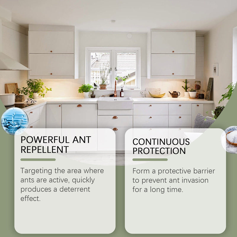 🥳2026 HOT SALE🥳💞50K+ SOLD! Termite Spray – From £7.98! Disrupts trails, prevents re-infestation & long-lasting. Protect your home – grab yours! ✅