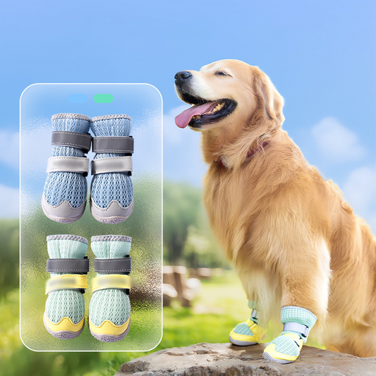 🥳HOT SALE🥳💞15K+ SOLD! Dog Shoes – From £10.99! Breathable mesh, reflective straps & anti-slip sole. Cool, safe paws – grab yours! ✅