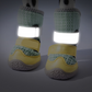 🥳HOT SALE🥳💞15K+ SOLD! Dog Shoes – From £10.99! Breathable mesh, reflective straps & anti-slip sole. Cool, safe paws – grab yours! ✅