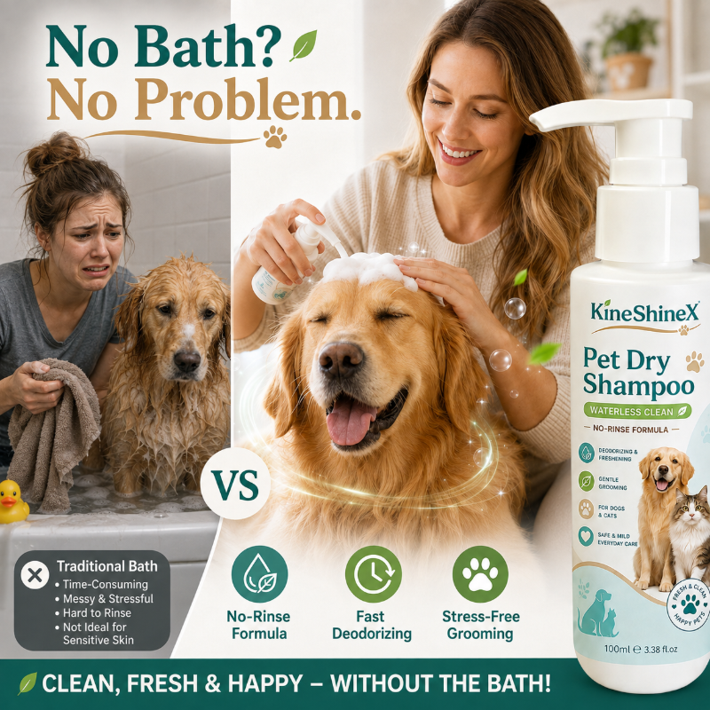 🥳HOT SALE🥳💞10K+ SOLD! Pet Mousse – From £7.99! No-rinse, deodorizing & gentle. Fresh pet in minutes – grab yours! ✅