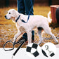 🥳HOT SALE🥳💞49K+ SOLD! Dog Seat Belt – From £8.99! Adjustable, universal & durable. Safe travels – grab yours! ✅