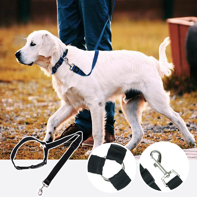 🥳HOT SALE🥳💞49K+ SOLD! Dog Seat Belt – From £8.99! Adjustable, universal & durable. Safe travels – grab yours! ✅