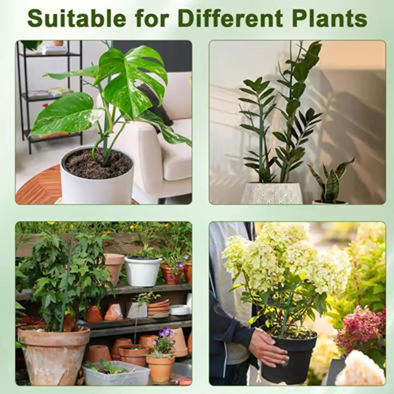 🥳HOT SALE🥳💞50K+ SOLD! Plant Support – From £12.99! Realistic branch, sturdy & extendable. Healthy plants – grab yours! ✅